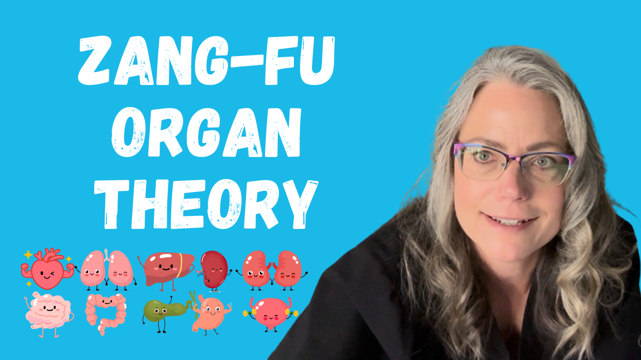 Zang-Fu Organ Theory