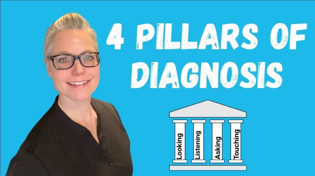 4 Pillars of Diagnosis with Vanessa Ebertz of Blue Frog Wellness graphic